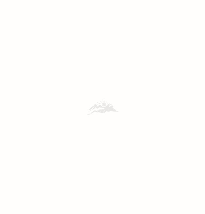 Intro